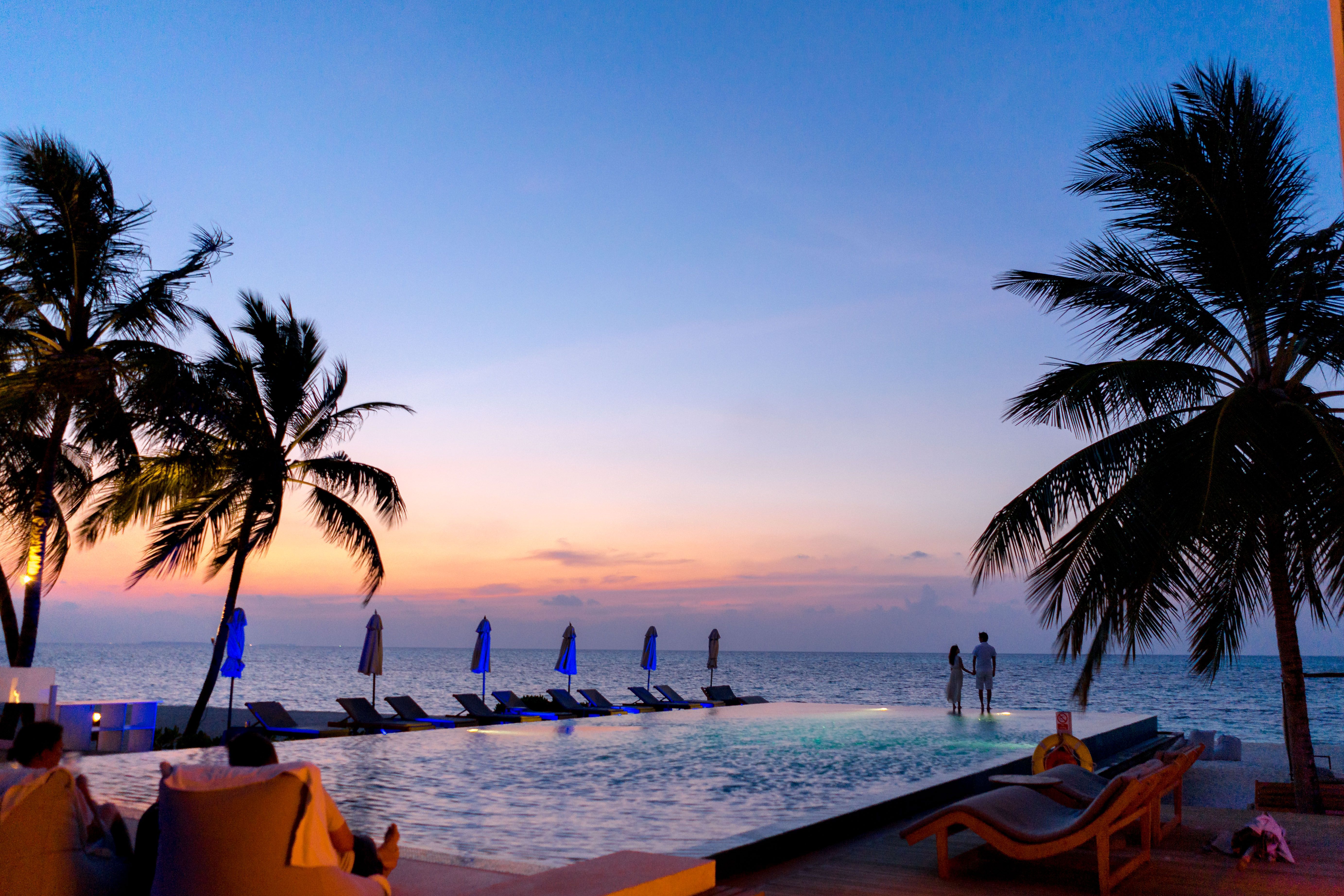 A couple enjoys a picturesque sunset by an infinity pool surrounded by palm trees | Source: Pexels